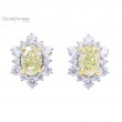 Fancy Light Yellow Diamonds Earrings-1