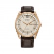 Citizen Dress/Classic Eco Men's Watch, Stainless Steel Ivory Dial