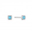 SILVER TURQUOISE SQUARE STUD EARRINGS-1