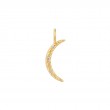 Gold Moon Charm-1