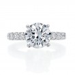 Platinum Engagement Ring-3