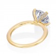 18 Karat Yellow Gold Engagement Ring-5