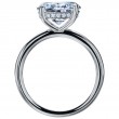 Platinum Engagement Ring Features Hidden Diamond Halo-5