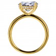 18 Karat Yellow Gold Engagement Ring Features Hidden Diamond Halo