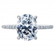 Platinum Engagement Ring Is Set-3