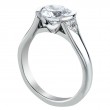 Half-Bezel Platinum Engagement Ring-1