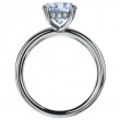 Platinum Engagement Ring Features Hidden Diamond Halo