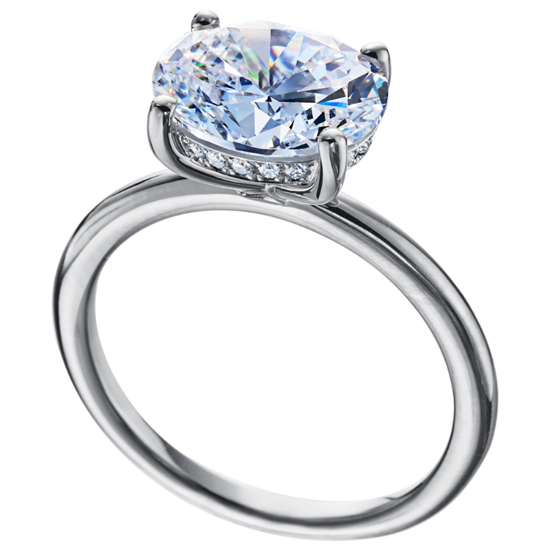 Platinum Engagement Ring Features Hidden Diamond Halo